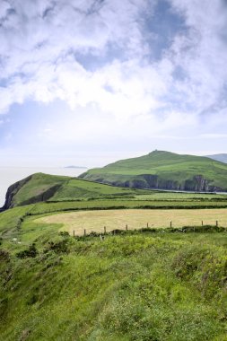 dingle Yarımadası county kerry İrlanda yaban Atlantik yolda