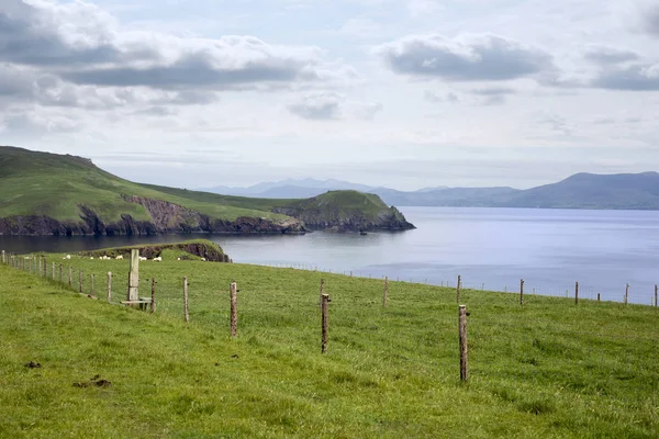 丁格尔半岛在狂放的大西洋方式在县凯里爱尔兰 — 图库照片