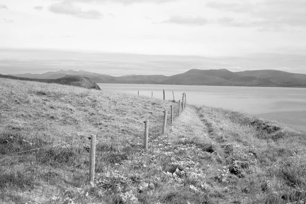 Het Schiereiland Dingle Wilde Atlantische Weg County Kerry Ierland — Stockfoto