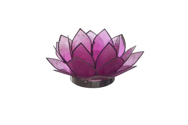 Glass Metal Flower Clipping Path — Stock Photo, Image