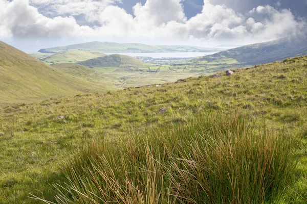 Saftig grüne Aussicht auf die Berge in County Kerry — Stockfoto