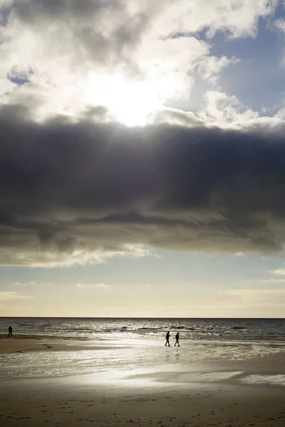 Silhouet van mensen die op het strand lopen — Stockfoto