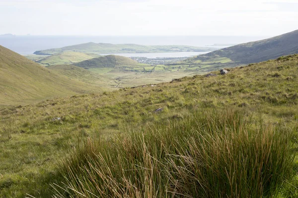 Üppiger Blick auf die Berge in County Kerry — Stockfoto