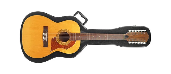 Musical Instrument Vintage Twelve String Acoustic Guitar Hard Case Hard — Stock Photo, Image
