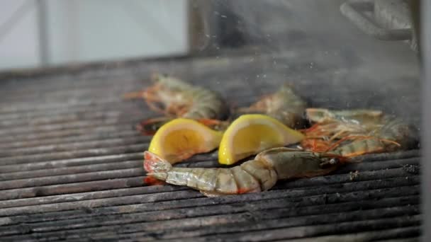 Krewetki morskie do gotowania — Wideo stockowe