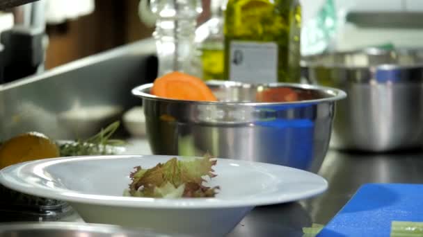 Servieren von Speisen im Restaurant — Stockvideo