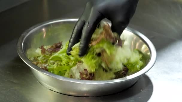 Feuilles de laitue dans un bol — Video