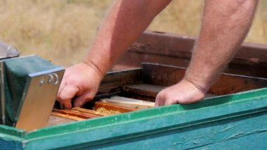 Bal Çerçevesinin Kaldırılması