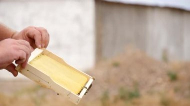 Arıcı Ellerinde Boş Bal Tarağı Çerçevesi