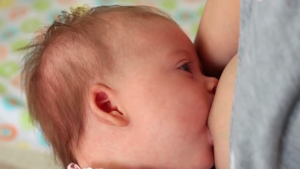Mãe Bebê Bebê Enfermagem — Vídeo de Stock