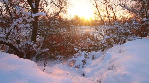 Paysage Fluvial Coucher Soleil Ralenti — Video