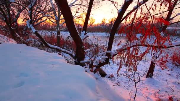 Rivierlandschap Zonsondergang Slow Motion — Stockvideo