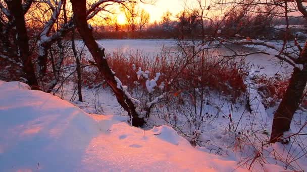 Rivierlandschap Zonsondergang Slow Motion — Stockvideo