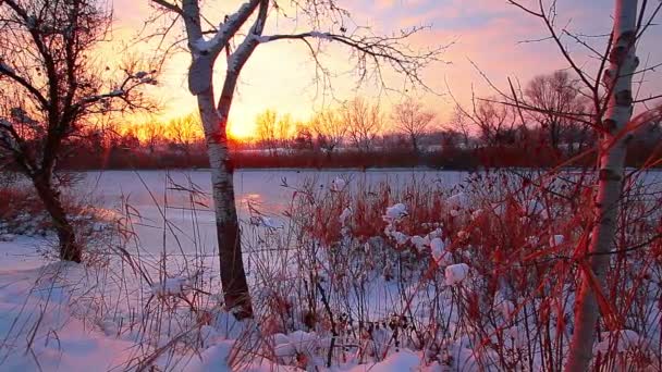 Paisagem Fluvial Pôr Sol Câmara Lenta — Vídeo de Stock