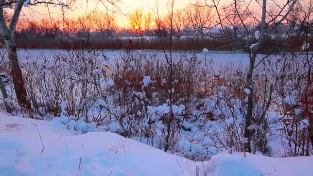 Flodlandskab Solnedgang Langsom Bevægelse – Stock-video