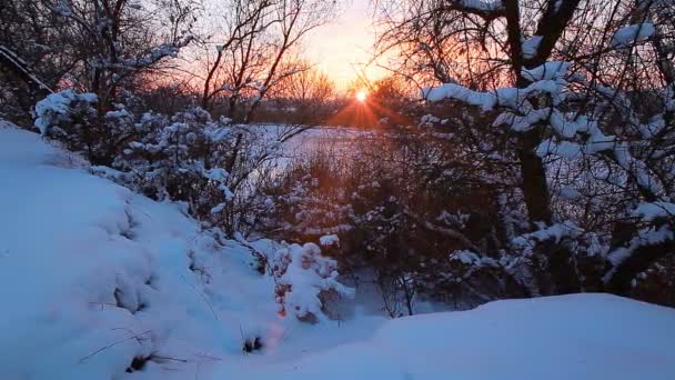 Paisagem Fluvial Pôr Sol Câmara Lenta — Vídeo de Stock