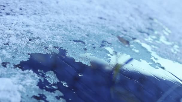 Sneeuw Smelt Het Glas Van Auto Timelapse — Stockvideo