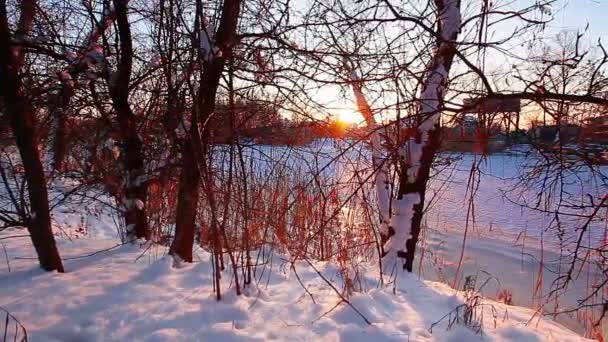 Paisagem Fluvial Pôr Sol Câmara Lenta — Vídeo de Stock