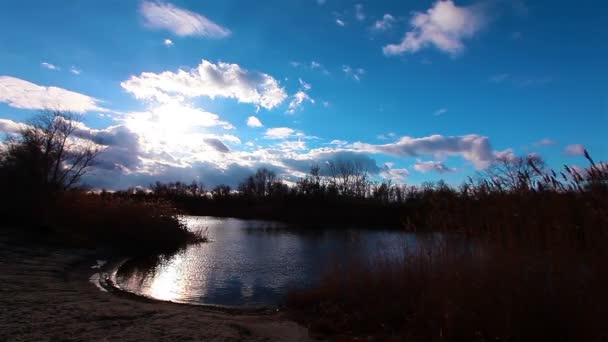 川の風景 タイムラプス — ストック動画