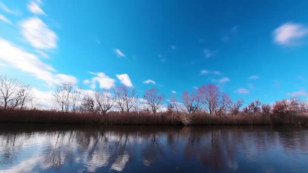 Flodlandskap Timelapse Våren — Stockvideo