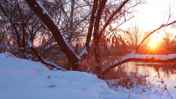 Річковий Пейзаж Захід Сонця Хронометраж Повний 4096X2304 — стокове відео