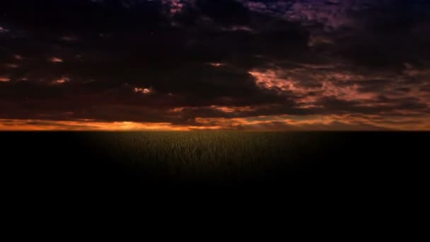 Campo Orejas Sobre Fondo Del Cielo Nocturno — Vídeos de Stock