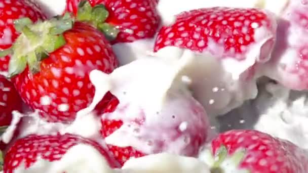 Fraise Dans Lait Mouvement Lent — Video