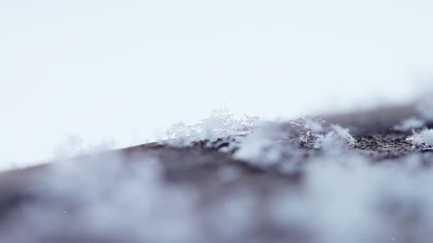 Snö Och Snöflingor Närbild — Stockvideo