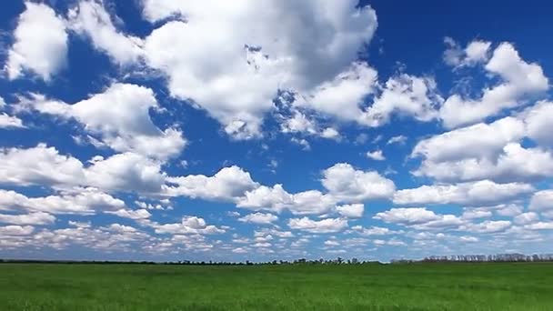 Campo Verde Céu Nublado — Vídeo de Stock