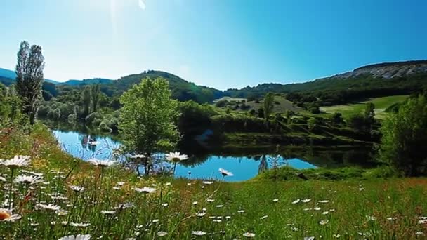 Paisagem Verão Cronologia Verão — Vídeo de Stock