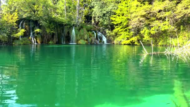 Cascata Nella Foresta Parco Nazionale Dei Laghi Plitvice Croazia — Video Stock