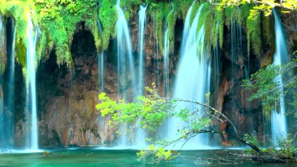 Vízesés Erdőben Plitvicei Tavak Nemzeti Park Horvátország — Stock videók