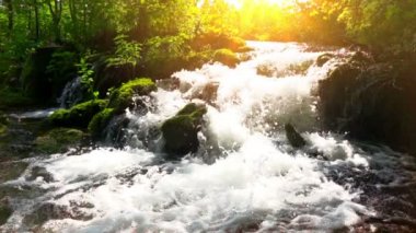 dağ dere ormanın içinde. ağır çekim.