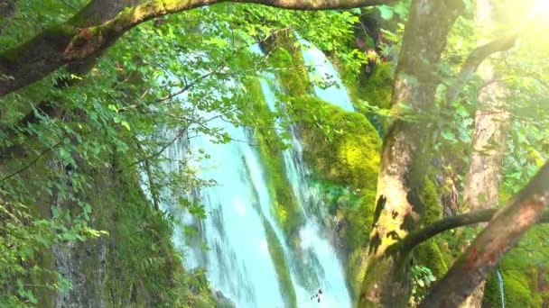 Cascade Dans Forêt Parc National Des Lacs Plitvice Croatie — Video