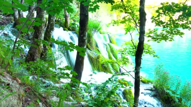 Cascade Dans Forêt Parc National Des Lacs Plitvice Croatie — Video