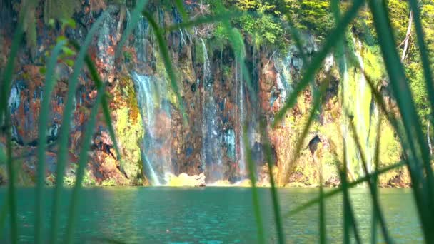 Waterfall Forest Plitvice Lakes National Park Croatia — Stock Video