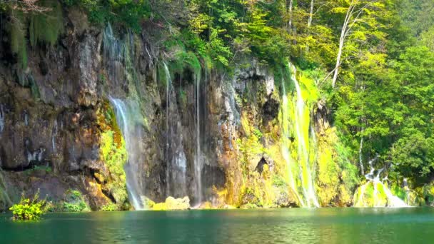 Vízesés Erdőben Plitvicei Tavak Nemzeti Park Horvátország — Stock videók