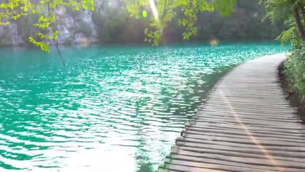 Leśnych Jezior Jeziora Plitwickie Chorwacja — Wideo stockowe