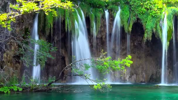 Waterval Het Bos Nationaal Park Plitvice Meren Kroatië — Stockvideo