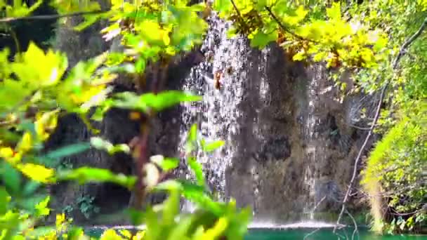 Waterfall Forest Plitvice Lakes National Park Croatia — Stock Video