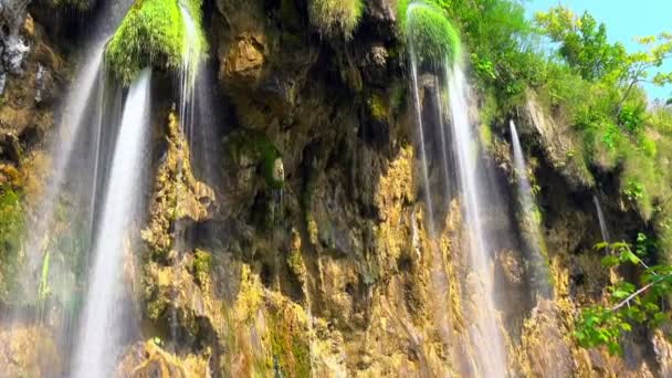 Cascade Dans Forêt Parc National Des Lacs Plitvice Croatie — Video