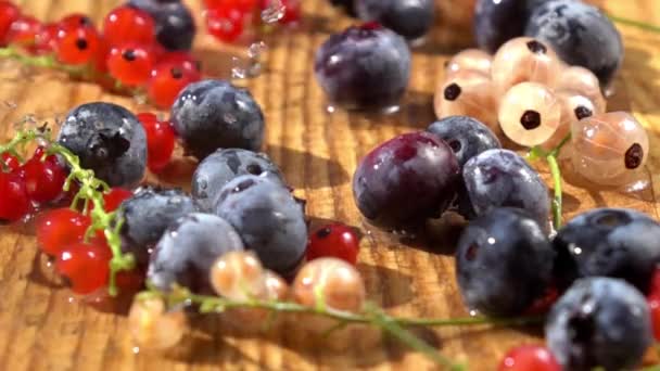 蓝莓和醋栗 慢动作 — 图库视频影像