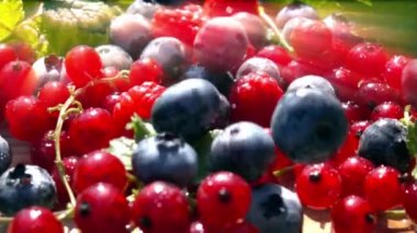Yaban mersini ve frenk üzümü, yavaş çekim