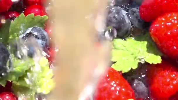 蓝莓和醋栗 慢动作 — 图库视频影像