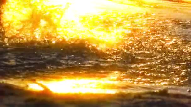 Motion Lent Fille Courant Eau Peu Profonde Coucher Soleil — Video