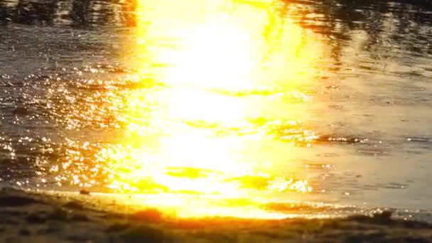 慢动作 女孩在日落时分在浅水中运行 — 图库视频影像