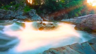 Ormandaki dağ deresi