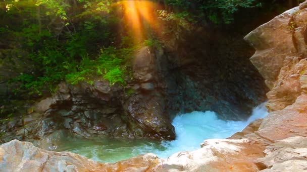 Arroyo Montaña Bosque — Vídeo de stock