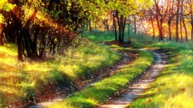 Sonbahar yolu. Günbatımının güneş ışıkları.