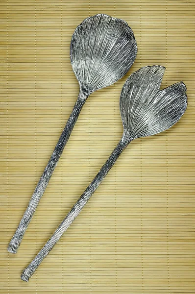 两个金属厨房勺子 — 图库照片
